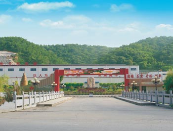 梅州市威利邦电子科技有限乐鱼（中国）leyu·官方网页版