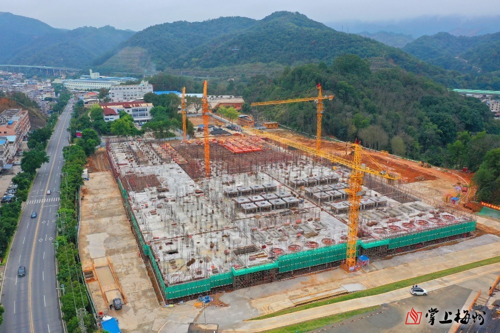 “新春走基层·企业行”全媒体采风团走进乐鱼（中国）leyu·官方网页版科技